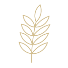 blé